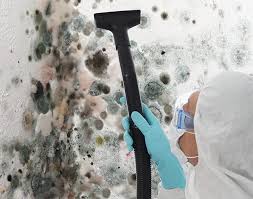 Best Commercial Mold Inspection in USA